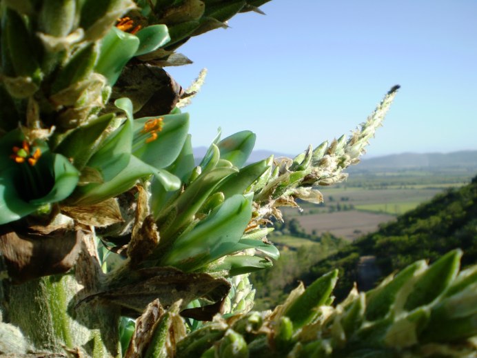 Марианна Норт пейзажи