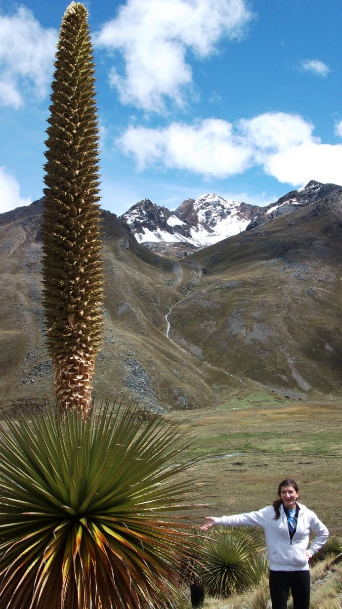 Пуйя Бертерони