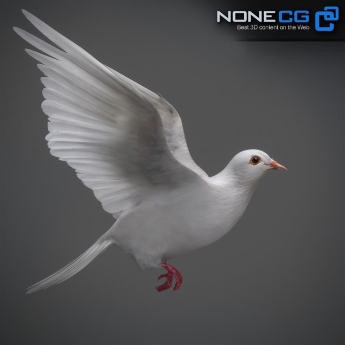 Dove голубь
