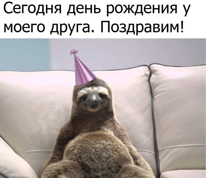 Упоротый Ленивец