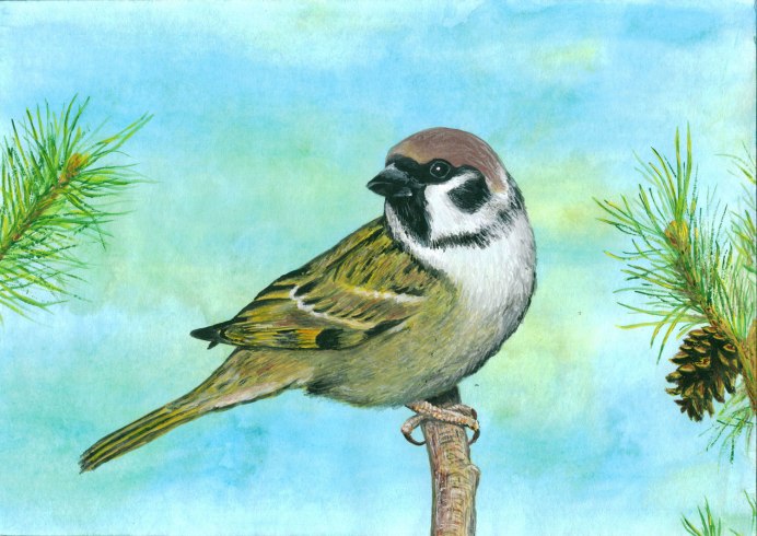 Воробей гуашью