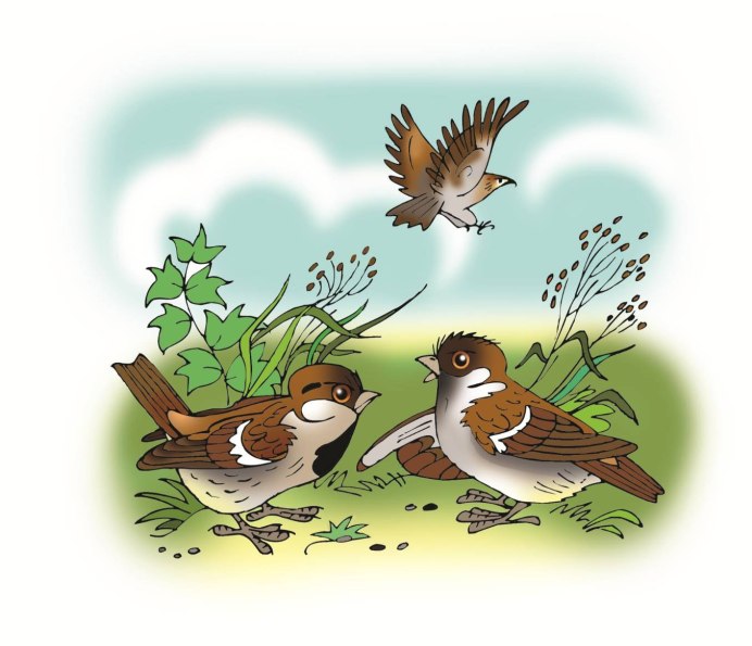 Воробей без фона