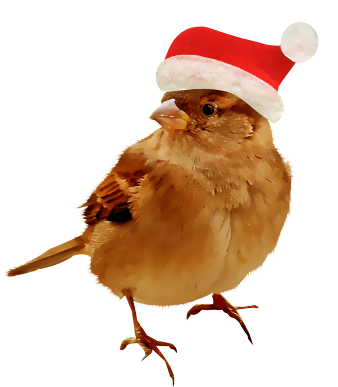 Мультяшные воробьи