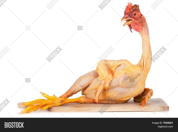 Мемы с курицей