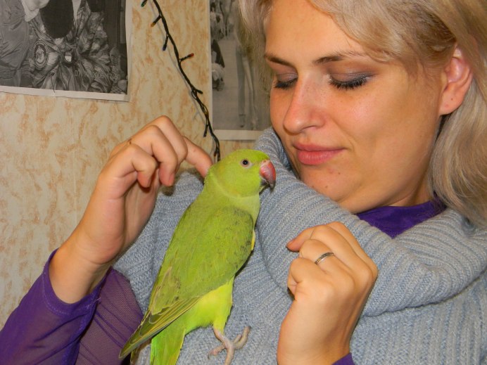 Ожереловый попугай ожерелье