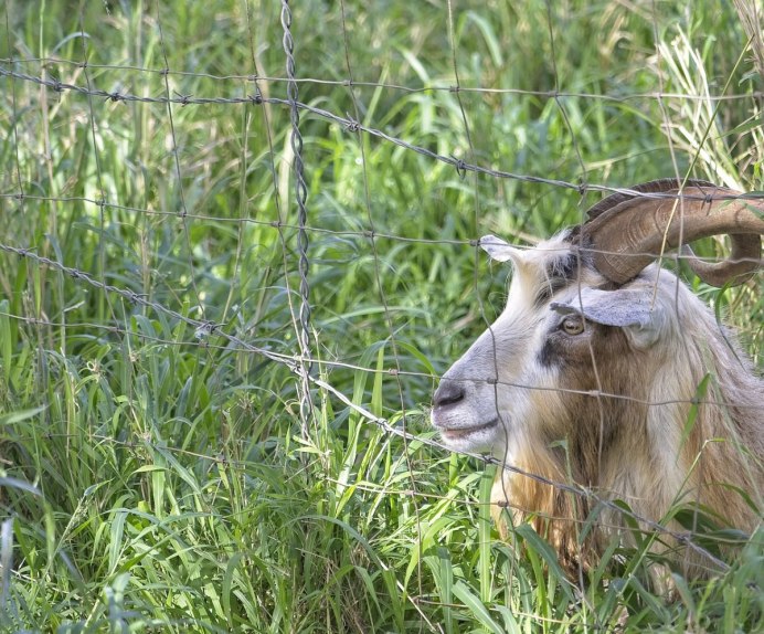 Римма Ильина художник