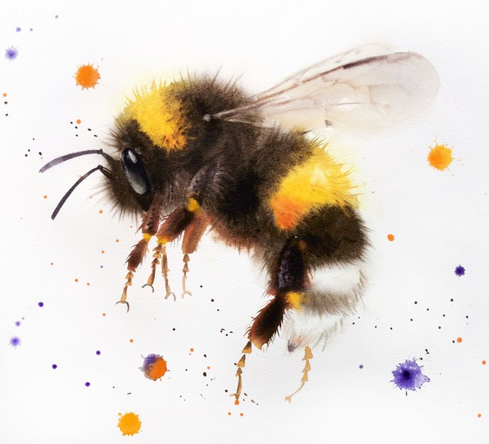 Bombus terrestris гнездо
