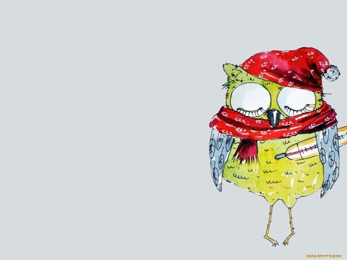 Самая маленькая Сова в мире