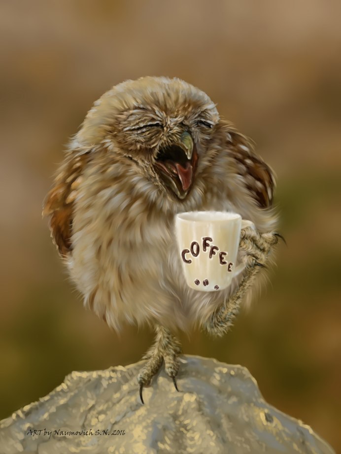 Птенец птенец Сипухи