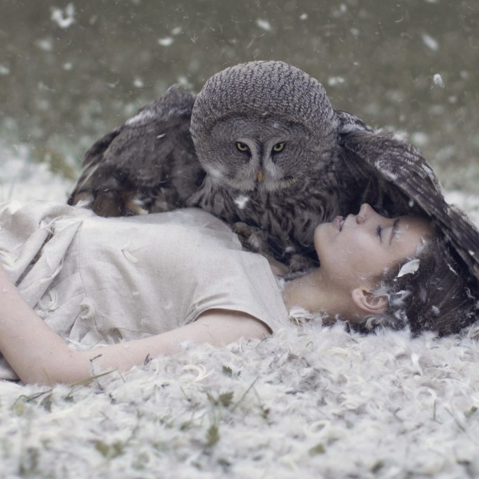 Бородатая неясыть птенец