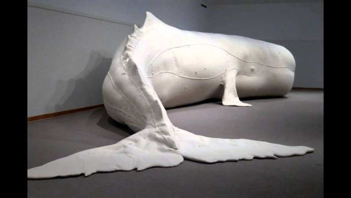 White Whalers животное