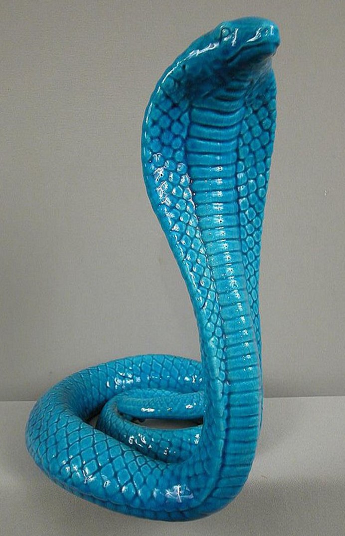 Blue Racer Snake