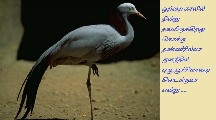 Цапля на одной ноге