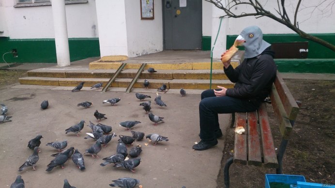 Упоротые голуби