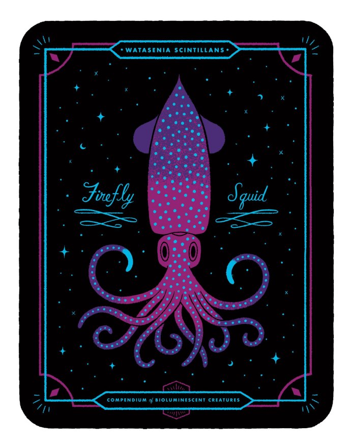 Watasenia scintillans