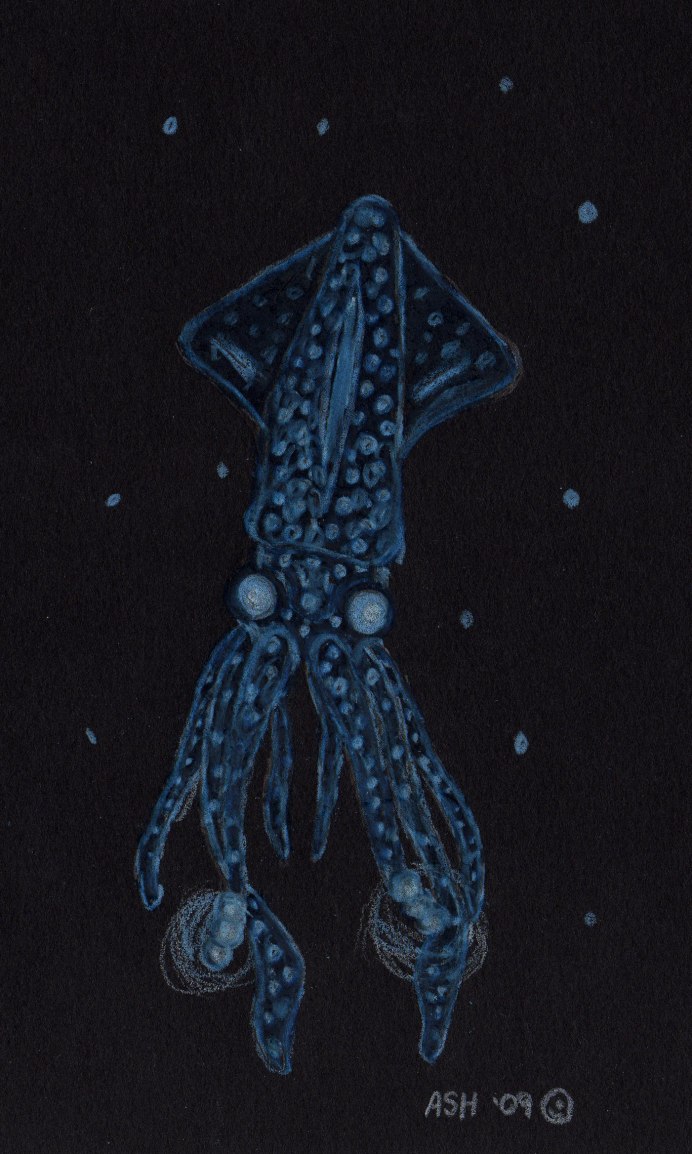 Earth Night in Color s 01 e01