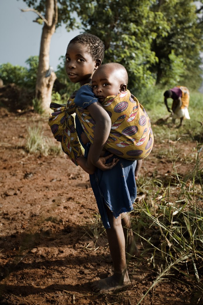 Птицы из Африки