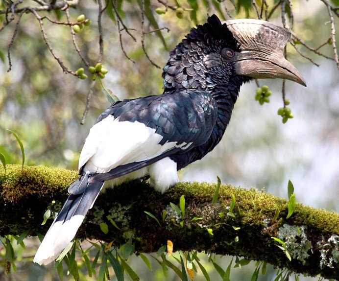 Африканские дети под дождем