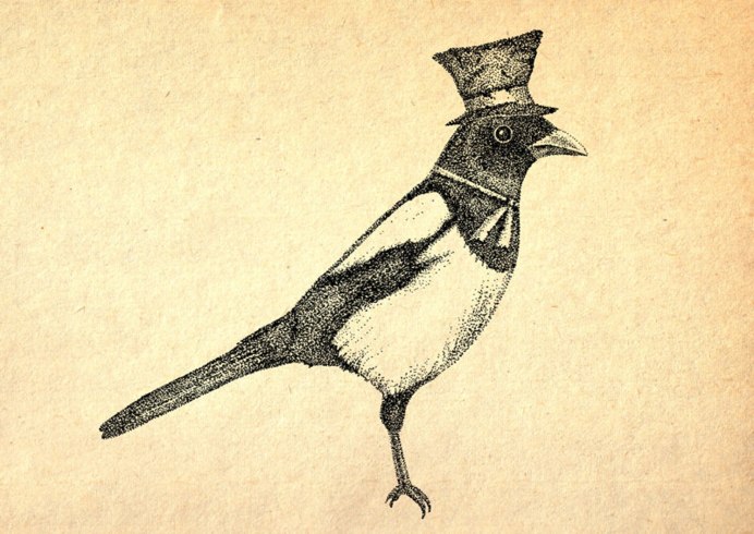 Сорока в траве