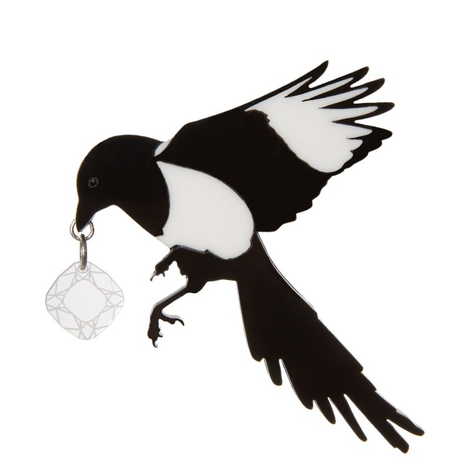 Сорока белобока птица