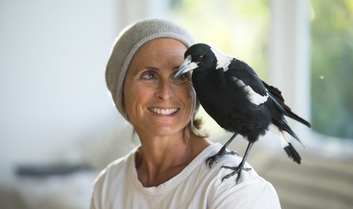 Сорока Винч