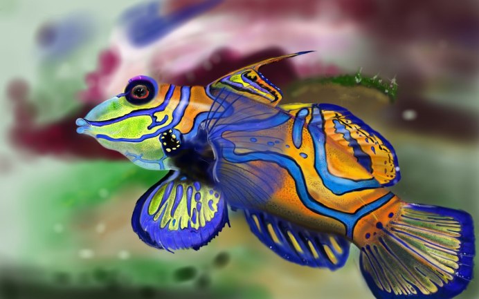 Synchiropus picturatus