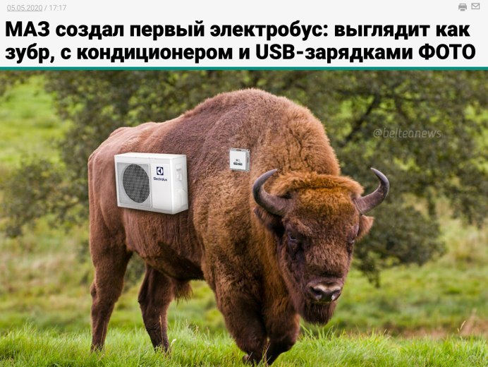 Европейский ЗУБР