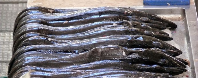 Речная рыба при повышенном холестерине.