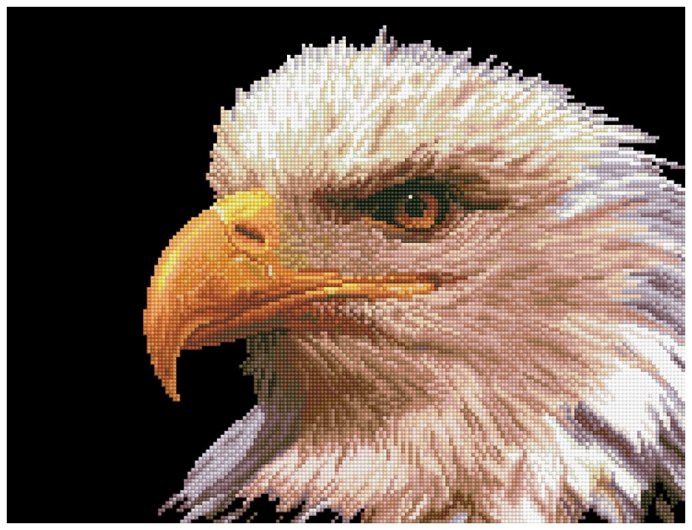 Орел ястреб Сокол Коршун Беркут