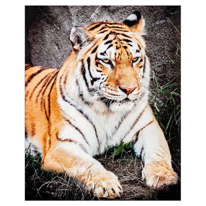 Элегантный тигр