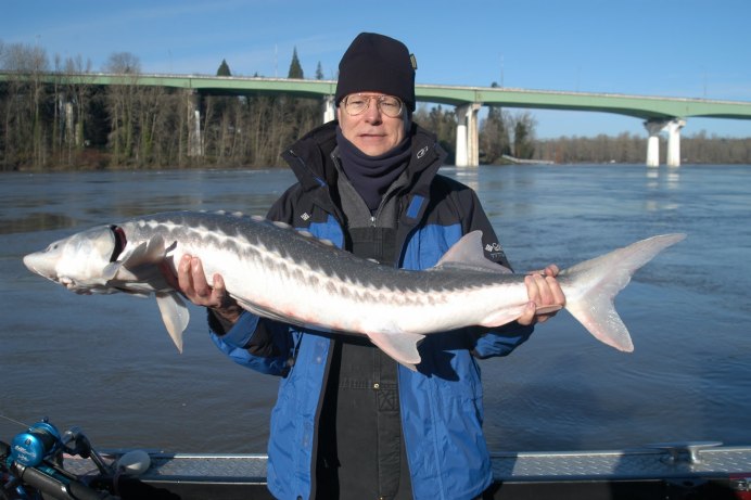 Сахалинский осетр фото