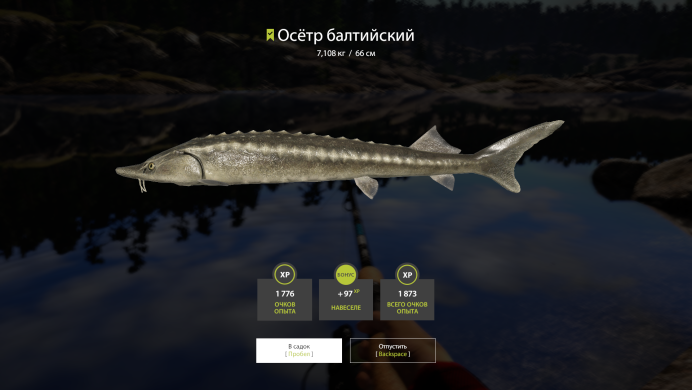 Фауна Азовского моря