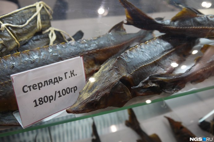 Осетр севрюга