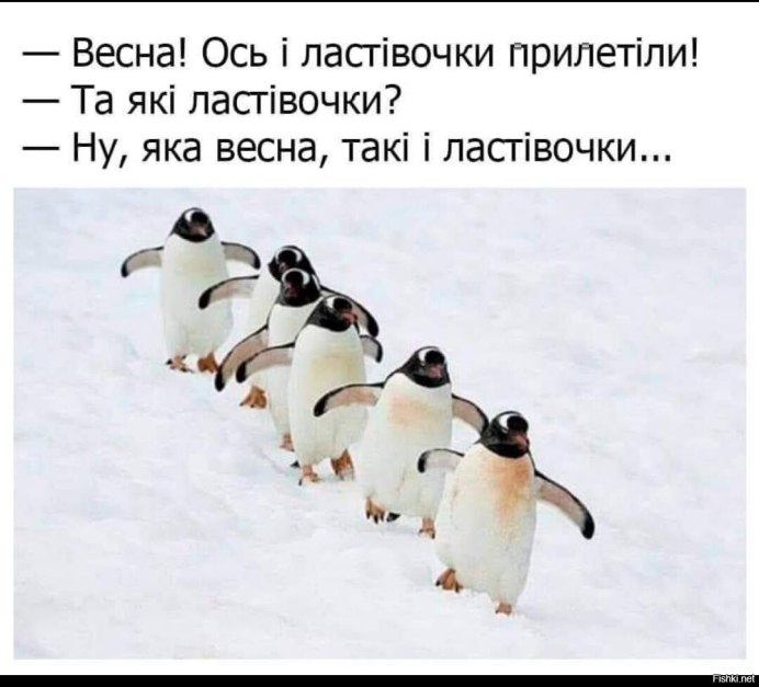 Пингвин демотиватор смешной