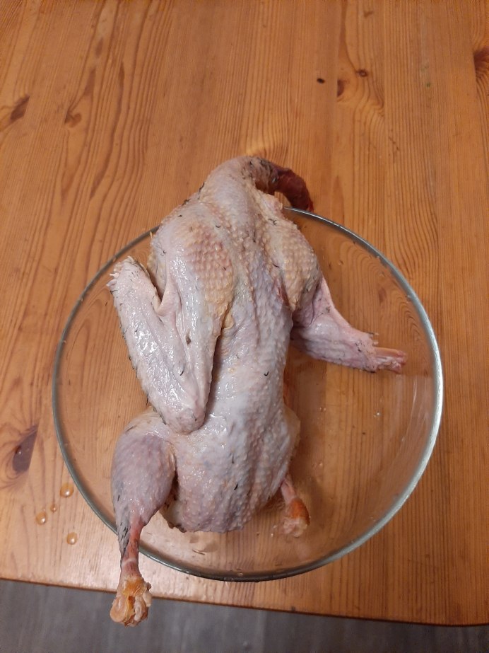 Попугай Рея