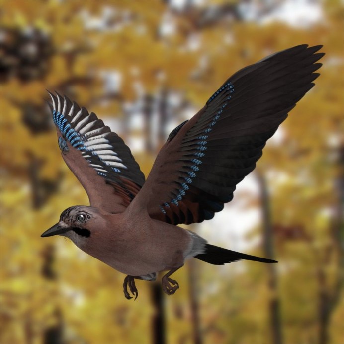 Райская мухоловка