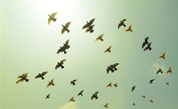 Фотограф Кристиан Спенсер