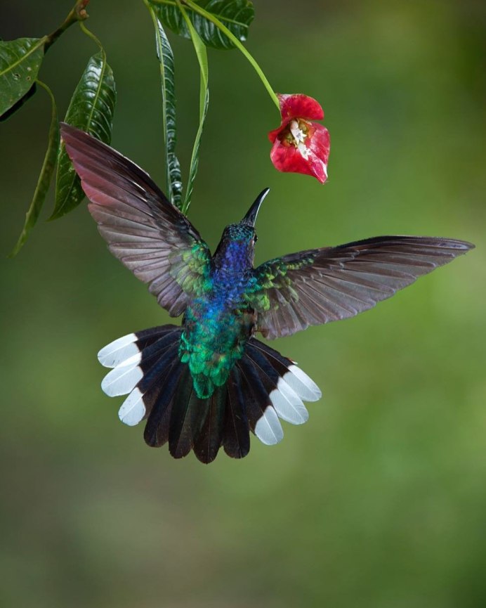 Юлия Горина актриса