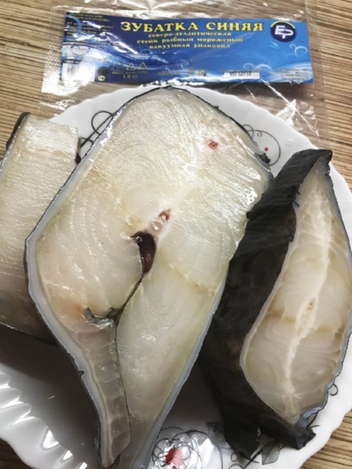 Рыба зубатка пятнистая