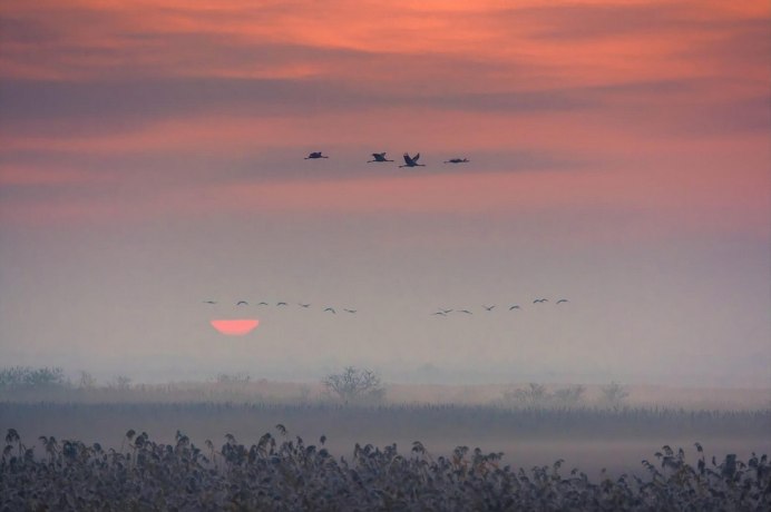 Осеннее небо с птицами