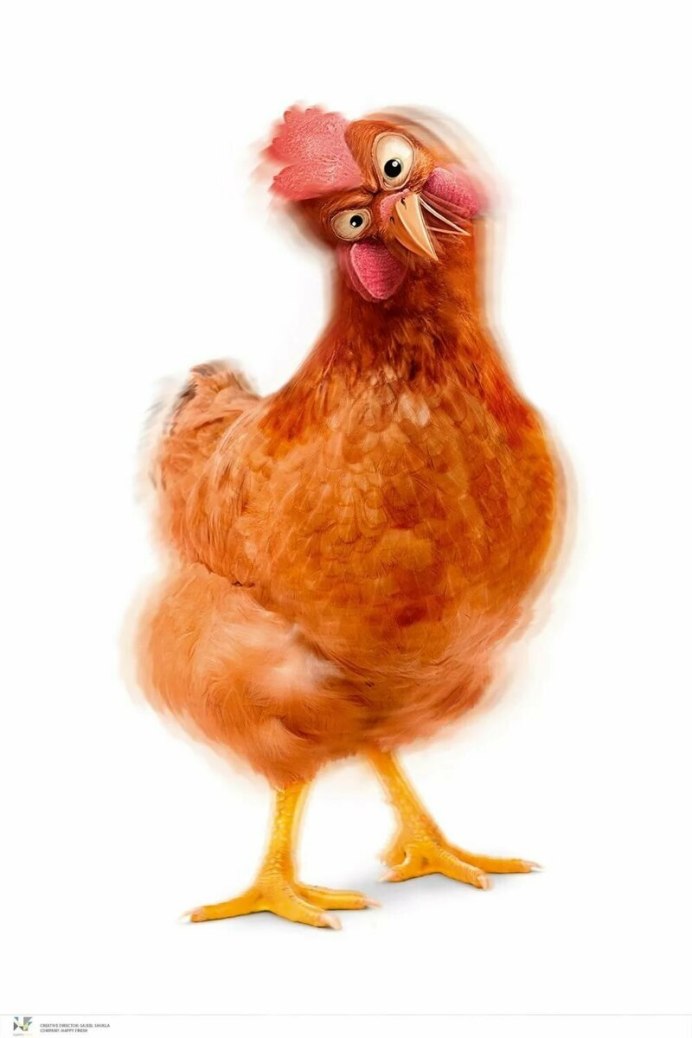 Белая курица