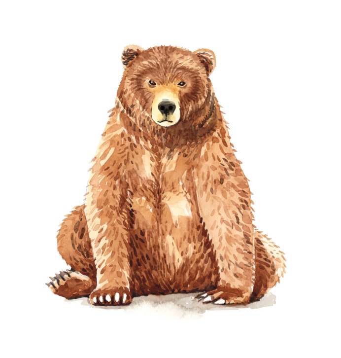 I am looking for a Bear