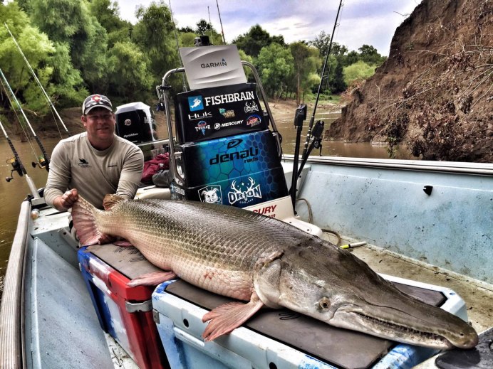 Alligator gar рыба