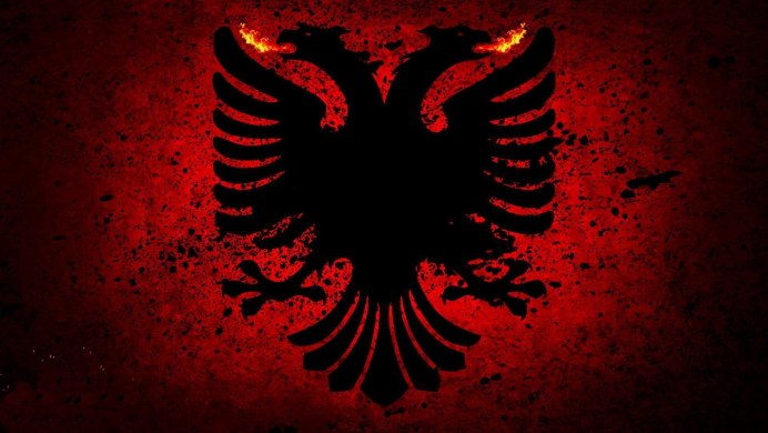 Полет птицы