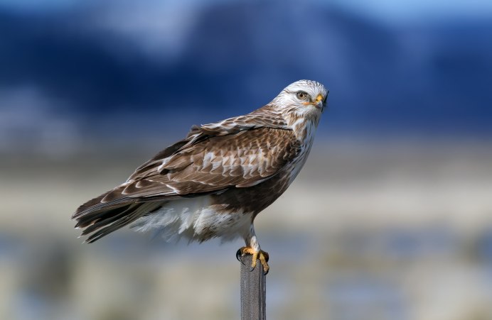 Заповедник Нургуш Скопа