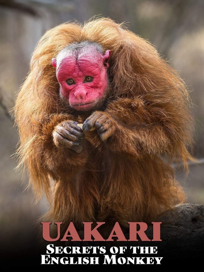 Какажао