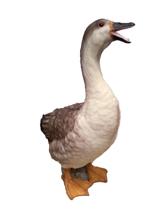 Белый Гусь