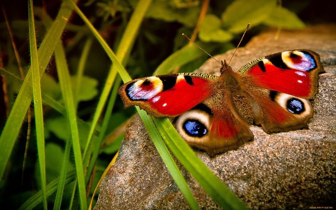 Мелкие подарки для детей