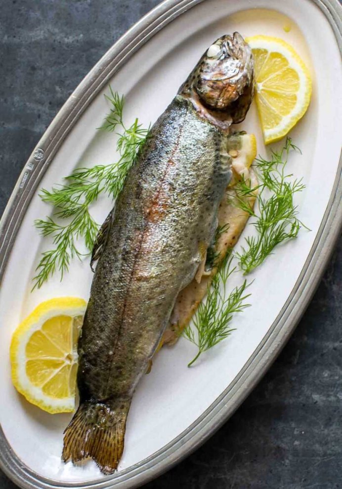 Морская форель кумжа