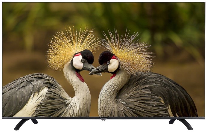 Птичка моя любимая